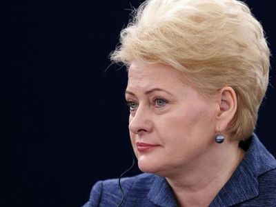 Денис Тарасенко: «Травля» президента Литвы Дали Грибаускайте - Литва и страны Балтии