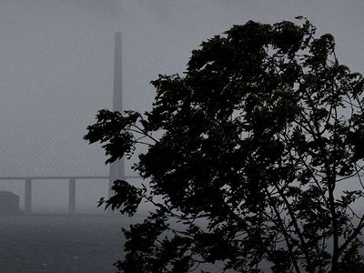 Ущерб от шквального ветра превышает 100 тысяч евро - Литва и страны Балтии