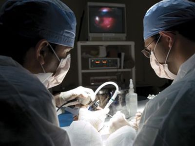 Bus atliekami moksliniai tyrimai vėžiui gydyti                 - Lietuva ir Baltijos šalys