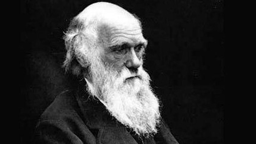 Редкий экземпляр «Происхождения видов» Дарвина нашелся на полке в туалете  - Культурные и спортивные мероприятия