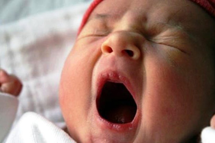 Мы зеваем, чтобы остудить мозг                                                                 - Наука и здоровье