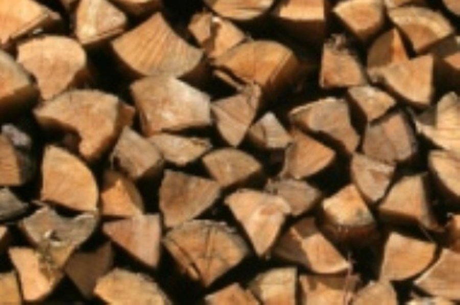 Šildytis malkomis ar anglimi irgi vis brangiau - Lietuva ir Baltijos šalys