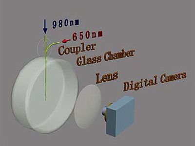 Физики разрешили столетний спор о свойствах света - Наука и здоровье