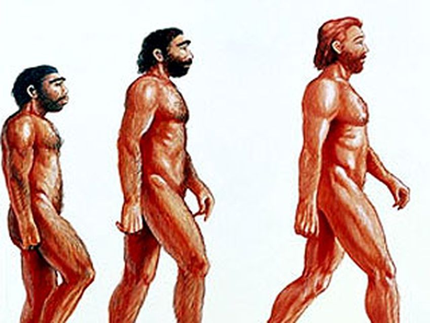 Эволюция вида Homo sapiens продолжается. Люди значительно потемнеют, обзаведутся раскосыми глазами и лишатся зубов