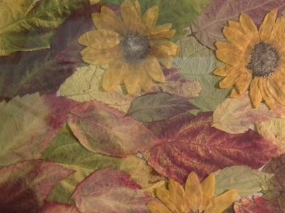 Выставка фитодизайна                                                                                                                                   - В Висагинасе