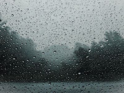 Середина января: синоптики рассказали, что ждет после теплых дней - Литва и страны Балтии