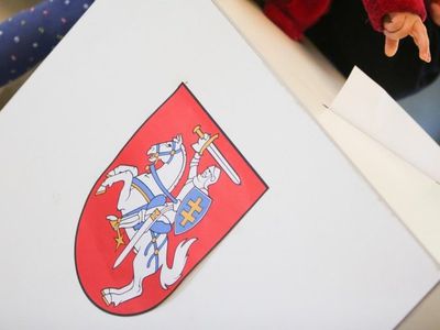 Президентские выборы: Литву ждет второй тур (данные со всех избирательных участков) - Литва и страны Балтии