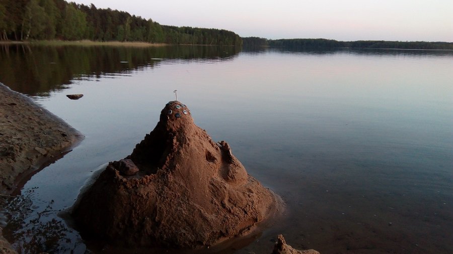 Висагинас за неделю: «собачий» вопрос оказался важнее всех остальных - В Висагинасе