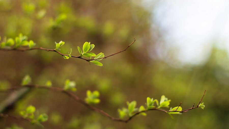 Прогноз: в середине недели похолодает - Литва и страны Балтии