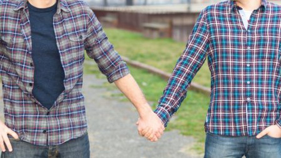 Парламент Франции окончательно одобрил однополые браки - В Мире