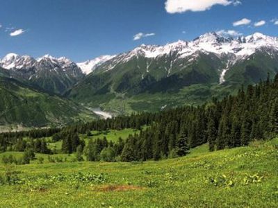 ЕС выделит 40 млн евро для сельского хозяйства Грузии
 - В Мире