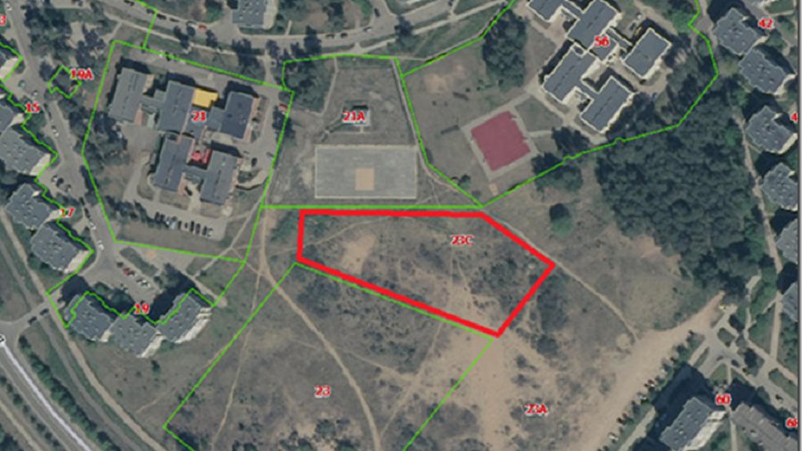 В Висагинасе появится площадка для дрессировки собак - В Висагинасе