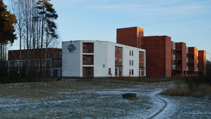 В Висагинасе - вспышка инфекции с подозрением на корь (дополнено и изменено) - В Висагинасе