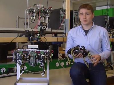 В Швейцарии сконструировали робота-кота - Хобби, отдых и развлечения