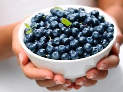 Черника — королева ягод - Наука и здоровье
