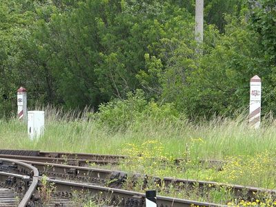 В помощь латвийским пограничникам отправляется новая группа литовских коллег - Происшествия и криминал