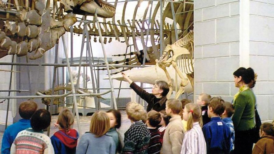 С сентября будущего года посещение музеев для школьников будет бесплатным - Литва и страны Балтии