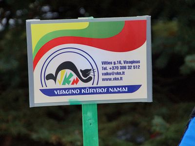 Анонимный опрос родителей (опекунов) о дистанционном обучении в Висагинском доме творчества - В Висагинасе