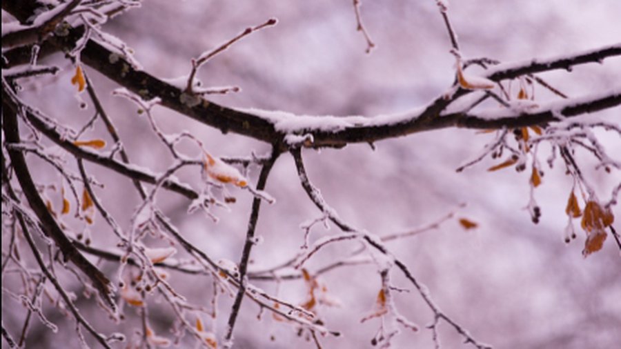 В Висагинас придут крещенские морозы  - В Висагинасе