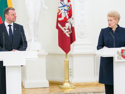 С.Сквернялис об участии в президентских выборах: решение баллотироваться вызревает - Литва и страны Балтии