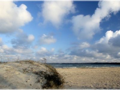 У берегов Эстонии затонуло судно - Литва и страны Балтии