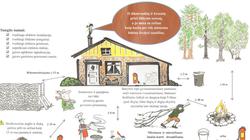 Правила сжигания сухих листьев и веток на дачных участках