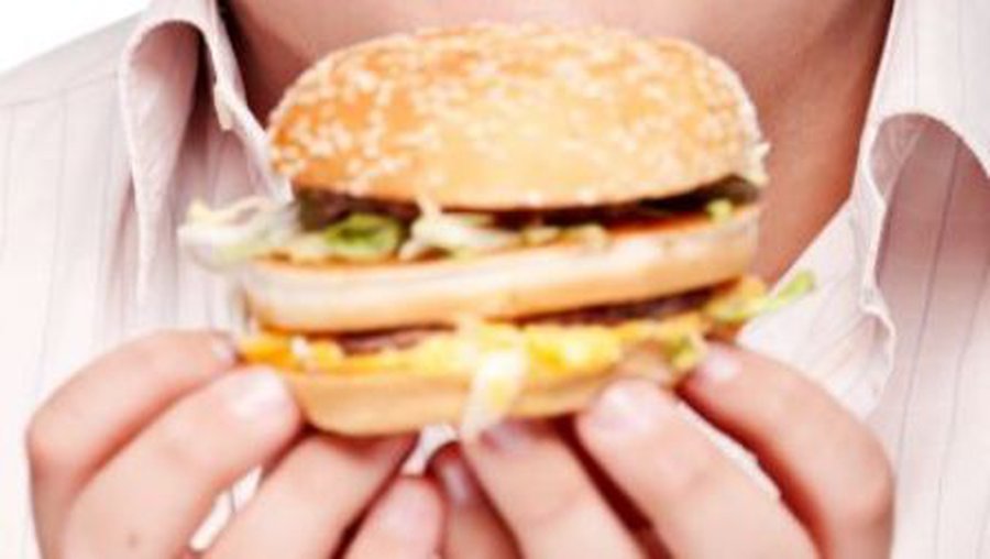 В Ирландии мясо для гамбургеров на 75% состояло из конины - В Мире