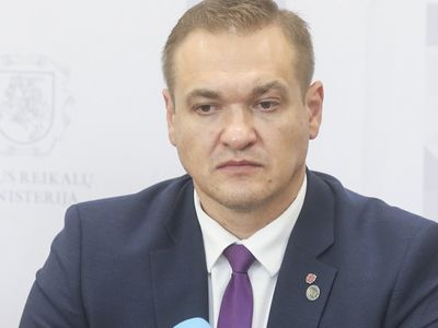 Глава МВД не опасается возвращения эмигрантов с плохой репутацией - Литва и страны Балтии