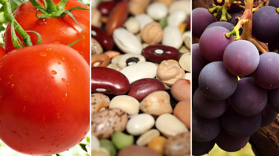 Борцы с раком на вашем столе - Наука и здоровье