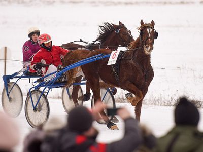 "Сартай 2020" из-за погоды отменяются - Культурные и спортивные мероприятия