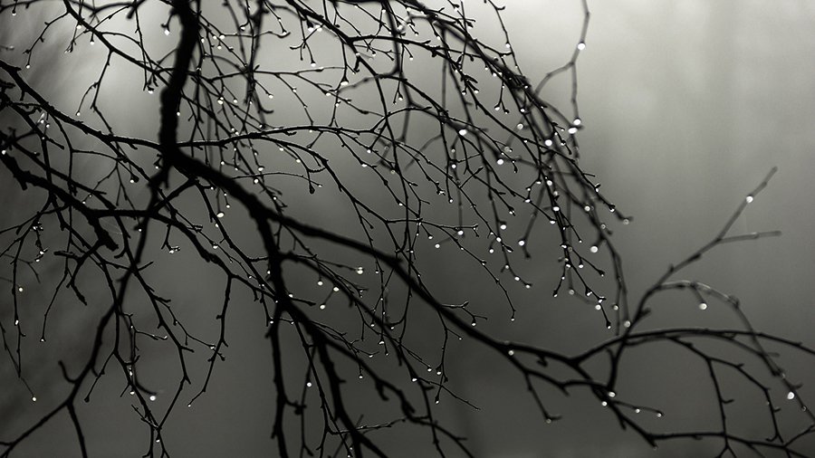 Прогноз: в Литве после выходных ожидается небольшой мороз - Литва и страны Балтии