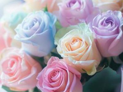 Поздравляем с Международным днем женской солидарности! - Поздравления