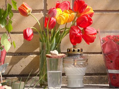 9 Мая в Висагинасе: «День, который никогда не уйдет из памяти» (видео) - В Висагинасе