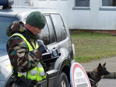 Поток нелегальных мигрaнтов из Белоруссии в Литву вырос вдвое - В Мире