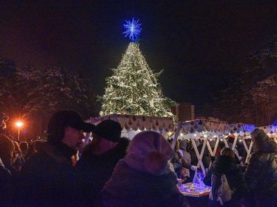 1 декабря состоится праздник зажжения огней на городской елке - В Висагинасе