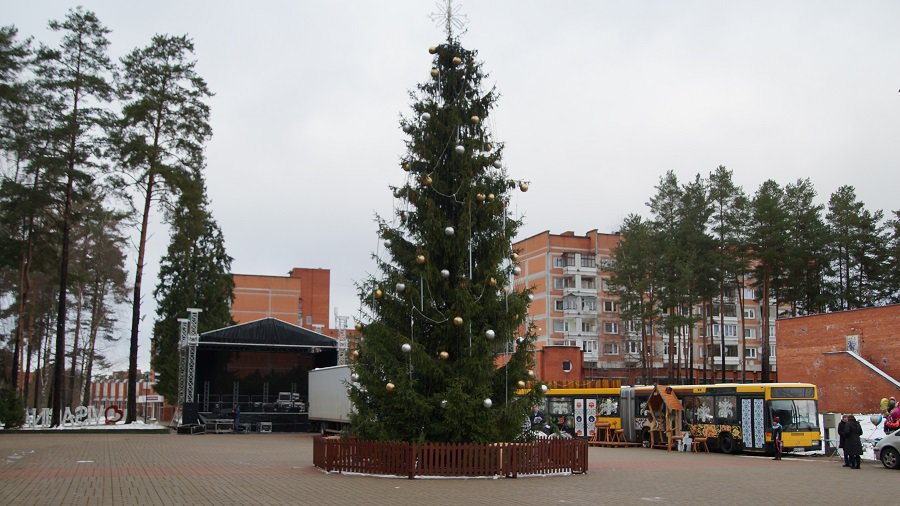 Приглашаем на праздник зажжения елки - Культурные и спортивные мероприятия