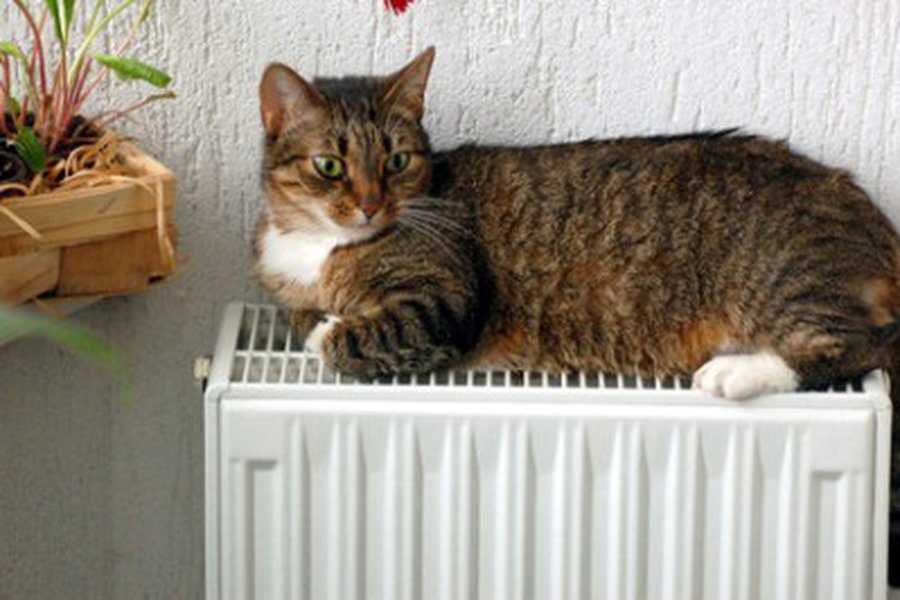 Nustatyta šildymo sezono pradžia - Visagine