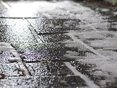 Plikledis Lietuvoje pridarė bėdų - Lietuva ir Baltijos šalys