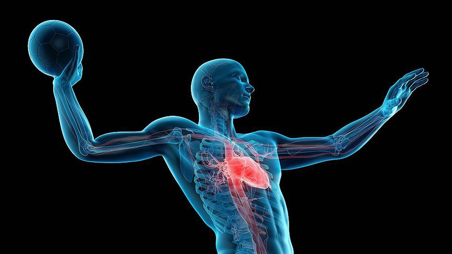 Во Франции ученые выясняют причины феномена внезапной смерти спортсменов - Наука и здоровье