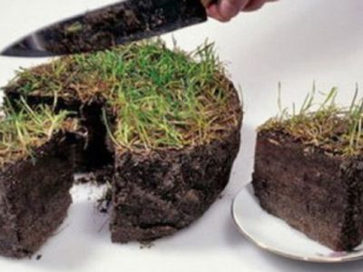 БЕЗ ЦЕНЗУРЫ: Сила Земли - Без цензуры