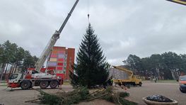 На площади Сантарвес установили необычную новогоднюю ёлку (видео)