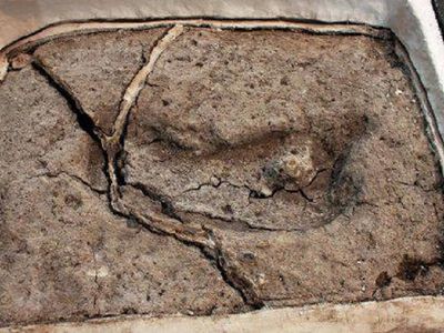 В Чили найдены древнейшие в Америке следы человека - Это интересно