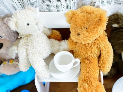 Политики и представители учреждений оценят изменения в системе опеки над детьми - Литва и страны Балтии