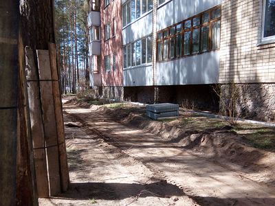 И вновь дилемма – березы или парковочные места - В Висагинасе