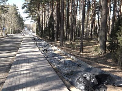 И года не прошло. Завершаются работы по реконструкции тротуара на пр. Тайкос (видео) - В Висагинасе