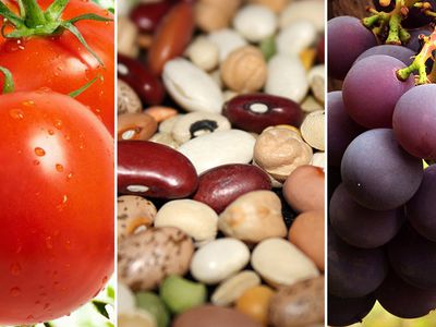 Борцы с раком на вашем столе - Наука и здоровье