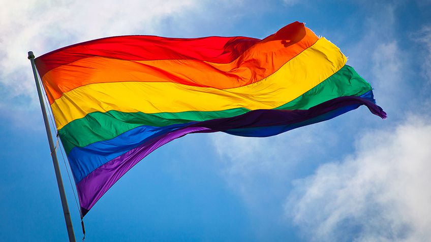 В Литве будут заключаться однополые браки
