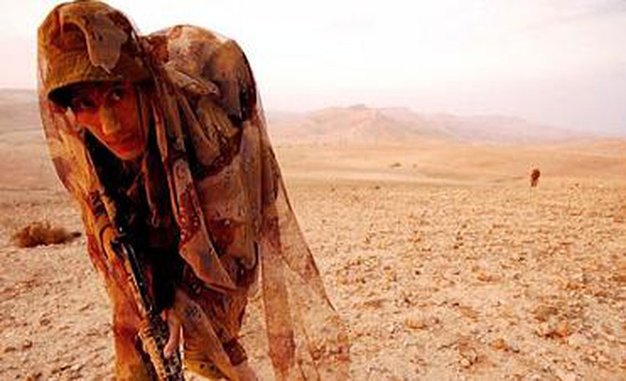 В Литве состоятся крупные военные учения войск Дании, США, Латвии, Литвы и Эстонии - Литва и страны Балтии