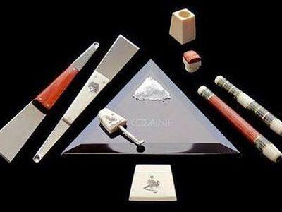 Кокаин вызывает долговременные изменения в химии мозга - Наука и здоровье
