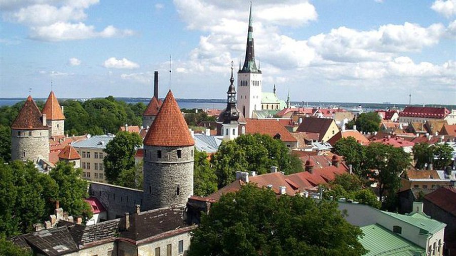 В Таллине прошел евромайдан - В Мире